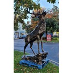 Elk on Rock Lifesize
